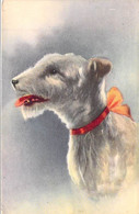 Fantaisies - Chien Avec Un Noeud - Edit. Color - Colorisé - Oblitéré Liège 1950 - Carte Postale Ancienne - Geklede Dieren