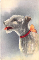 Fantaisies - Chien Avec Un Noeud - Edit. Color - Colorisé - Oblitéré Liège 1950 - Carte Postale Ancienne - Dressed Animals