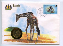 LETTERA UNITED NATIONS LESOTHO WILDLIFE GIRAFFA BIRD UCCELLI ANIMALI - Lesotho