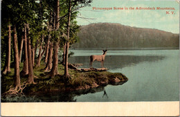 New York Adirondacks Picturesque View In The Adirondack Mountains 1913 - Adirondack