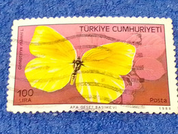 TÜRKEY--1970-80 -   100L   DAMGALI - Usados