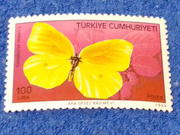 TÜRKEY--1970-80 -   100L   DAMGALI - Usados