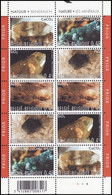 3174/3178** - Minéraux / Mineralen / Mineralien / Minerals - PLANCHE/PLAAT IV - Zonder Classificatie