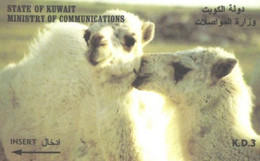 Kuwait:Used Phonecard, Ministry Of Communication, 3 K.D, Camels - Koweït