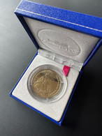 Monnaie De Paris 2009 Vic-sur-Seille Louis XIV Lvdovicvs Magnvs Fran Et Nav Rex - 2009