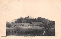 FAVERGES     CHATEAU - Faverges