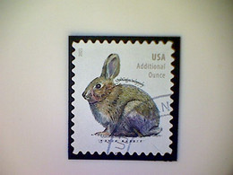 United States, Scott #5544, Used(o), 2021 Definitive, Brush Rabbit, (20¢), Gray - Gebruikt