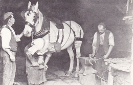 DOLGELLAU OLD SMITHY, HORSE, PEOPLE - Gwynedd