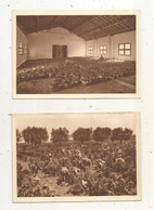 Cp, Agriculture, Vignes , Vendanges , Domaine De La TRAPPE DE STAOUËLI Près Alger ,Algérie, Vierges,LOT DE 2 C P - Viñedos