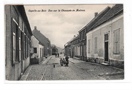 CAPELLE-AU-BOIS Kapelle-op-den-Bos  Vue Sur La Chaussée De Malines - Kapelle-op-den-Bos