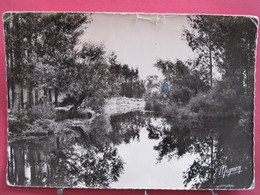 Visuel Très Peu Courant - 89 - Flogny - Les Bords De L'Armançon - R/verso - Flogny La Chapelle