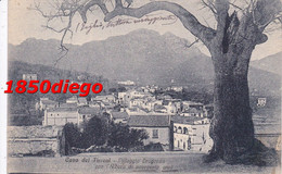 CAVA DEI TIRRENI - VILLAGGIO DRAGONEA ?? CON L' ALBERO DI NOVECENTO ANNI F/PICCOLO NON VIAGGIATA - Cava De' Tirreni