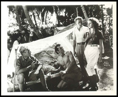 Tarzan And The Green Goddess Original British Lobby Card Bruce Bennett 1938 - Foto