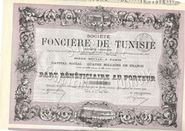 SOCIETE FONCIERE DE TUNISIE - PART BENEFICIAIRE - ANNEE 1885 - Afrique