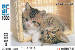 TARJETA DE JAPON DE UN GATO (CAT)  (no Es Tarjeta Telefonica) - Katzen