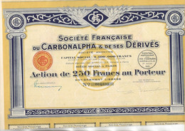 SOCIETE FRANCAISE DU CARBONALPHA ET DE SES DERIVES - ACTION DE 250 FRS -ANNEE 1931 - Mineral