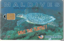 CARTE-PUCE-RF 30-MALDIVES-SAVE TORTUES-TBE - Turtles