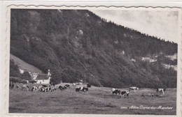 Broc - Chapelle Notre-Dame Des Marches Et Vaches Au Pâturage - Chapelle