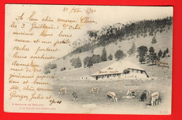 DAH-27 RARE Jura Chalet D'Alpage Des Crébillons Et L'Aiguille De Baulmes.Dos Simple.Circ. 31 Déc.1900, Timbre Manque - Baulmes