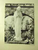 48393 - BANNEUX NOTRE-DAME - LA VIERGE - ZIE 2 FOTO'S - Sprimont