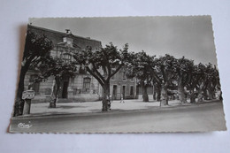 La Palud - Hotel De Ville - Cours Des Platanes - Lapalud