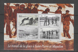 Saint-Pierre-et-Miquelon Bloc Feuillet N°13 ** Neuf Sans Charnière Le Travail De La Glace à Saint Pierre Et Miquelon - Blocks & Kleinbögen