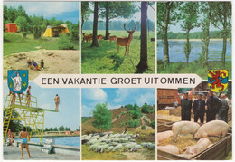 Een Vakantie-groet Uit Ommen - (Nederland/Holland) - Duikplank, Zwembad, Camping, Varkens - Ommen