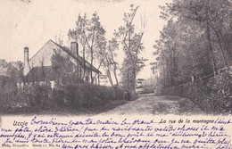 Uccle - La Rue De La Montagne - Circulé En 1902 - Dos Non Séparé - TBE - Ukkel - Uccle