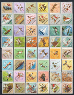 PORTUGESE TERRITORIES 1962 - SPORT SETS - TIMOR/MACAU/ANGOLA/CABO VERDE/GUINÉE ETC- 8 SETS MLH - Otros & Sin Clasificación