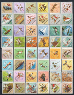 PORTUGESE TERRITORIES 1962 - SPORT SETS - TIMOR/MACAU/ANGOLA/CABO VERDE/GUINÉE ETC- 8 SETS MLH - Other & Unclassified