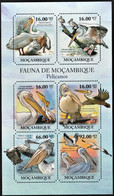 2011 Mozambique Pelicans Minisheet And Souvenir Sheet (** / MNH / UMM) - Pelikane