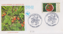 Enveloppe   FDC   1er   JOUR    SAINT  PIERRE  Et  MIQUELON   Confiture  De  Fraises  De   LANGLADE    2003 - FDC