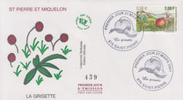 Enveloppe   FDC   1er   Jour    SAINT  PIERRE  Et  MIQUELON    La  Grisette   2001 - FDC