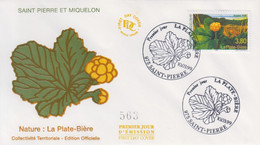 Enveloppe  FDC  1er   Jour    SAINT  PIERRE  Et  MIQUELON   La   Plate - Biére   1999 - FDC