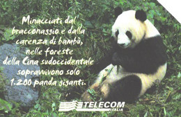 Italy:Used Phonecard, Telecom Italia, 5000 Lire, Panda, 2003 - Öff. Themen-TK