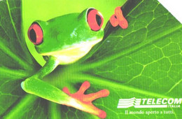 Italy:Used Phonecard, Telecom Italia, 5000 Lire, Frog, 2001 - Publiques Thématiques