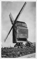 Condé Sur Escaut * Un Vieux Moulin à Vent * Molen - Conde Sur Escaut