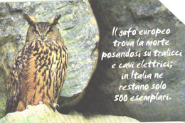 Italy:Used Phonecard, Telecom Italia, 10000 Lire, Owl - Públicas Temáticas