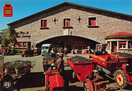 Gignac * Les Vins De St Saturnin * La Cave Coopérative Pendant Les Vendanges * Tracteurs - Andere & Zonder Classificatie