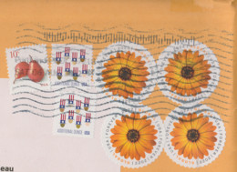 USA 2022 To France African Daisy Marguerite Africaine Du Cap Osteospermum Pear Poire - Covers & Documents