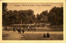 Belgique - Bruxelles - Bois De La Cambre - Le Lac Et L'Ile Robinson - Forests, Parks