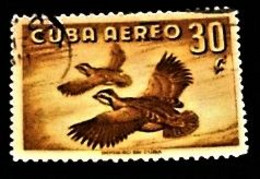 Cuba,1956, Ducks. - Oblitérés