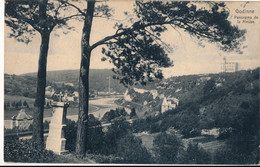 GODINNE PANORAMA DE LA MEUSE               2 SCANS - Yvoir