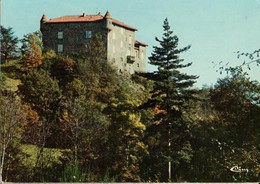 43 - RETOURNAC - CHÂTEAU DE RIBES - Retournac