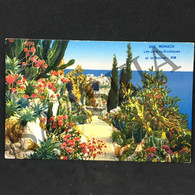 #CPA119 - FRANCE  -  MONACO Les Jardins Exotiques Et Le Rocher  - RM 296 - Jardin Exotique
