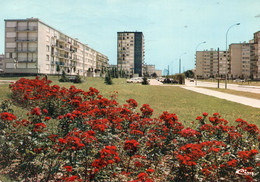 91,ESSONNE,SAINT MICHEL SUR ORGE - Saint Michel Sur Orge