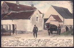 +++ CPA - SCHAERBEEK - SCHAARBEEK - La Grande Rue Au Bois - Attelage Cheval - Couleur 1903   // - Schaarbeek - Schaerbeek