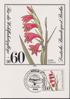 1981 Berlin  MC, Mi:DE-BE 652, Yt:DE-BE 613, Supfgladiole , Für Die Wohlfahrt - Cartoline Maximum