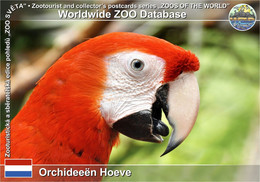 01204 Orchideeën Hoeve, NL - Scarlet Macaw (Ara Macao) - Andere & Zonder Classificatie