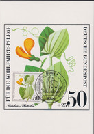 1980 BRD MC, Mi:DE 1060, Yt:DE 906, Ranken - Platterbse, Blume, Für Die Wohlfahrtspflege - Otros & Sin Clasificación